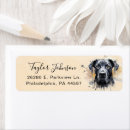 Suche nach doggen Hund