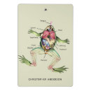 Suche nach anatomie klemmbrett Anatomie des frosches