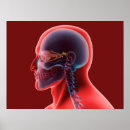 Suche nach menschliches auge poster Nahaufnahme