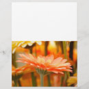 Suche nach umwelt flyer Blume