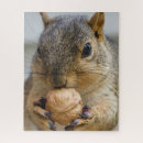 Suche nach nüsse puzzle Nagetier
