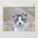 Suche nach verbrechen poster Niedlich
