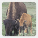 Suche nach wyoming aufkleber Nordamerika