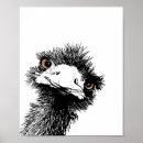 Suche nach emu poster Vogel