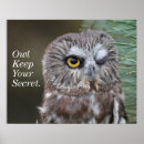 Suche nach uhu poster Greifvögel