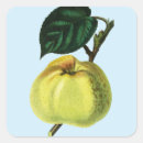 Suche nach apfelbaum aufkleber Natur