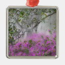 Suche nach azalee ornamente Charleston