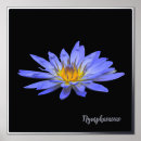 Suche nach accent poster Druck