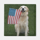 Suche nach goldener labrador magnete Niedlich