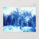 Suche nach schneeszene postkarten Waldland