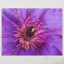 Suche nach garten blumen flyer Gärten