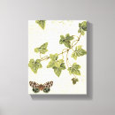 Suche nach efeu leinwandbilder Farne