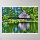 Suche nach kirschbaum poster Blüten