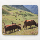 Suche nach rennen mousepads Tag