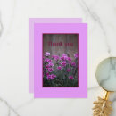Suche nach dianthus karten Nelke