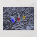 Suche nach engelbrecht postkarten Lisa s engelbrecht