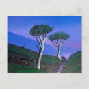 Suche nach military postkarten Militär