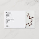 Suche nach ameisen visitenkarten Plage