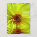 Suche nach wespen postkarten Blume