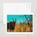 Suche nach animal postkarten Wild