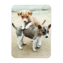 Suche nach welpe magnete Niedliche tiere