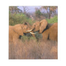 Suche nach afrika notizblock Safari