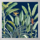 Suche nach tropical rainforest poster Tropics