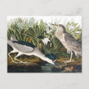 Suche nach john audubon postkarten Heldin