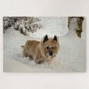 Suche nach hund im schnee puzzle Kaninchen