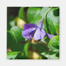 Suche nach beschäftigte biene Blumen