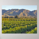 Suche nach cabernet sauvignon poster Niemand