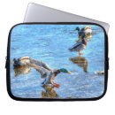 Suche nach ente laptop schutzhüllen Tierwelt