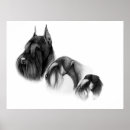 Suche nach großer hund poster Riesig