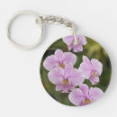 Suche nach blumenbild schlüsselanhänger Orchidee