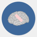 Suche nach neurologie aufkleber Neurologe
