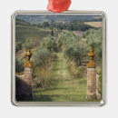 Suche nach weinberg ornamente Toskana