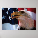 Suche nach amerikanischer adler poster Glatzenadler