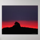 Suche nach löwe und löwin poster Natur