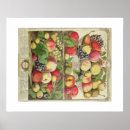 Suche nach zwölf monate poster Obst