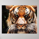 Suche nach king poster Animal