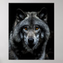 Suche nach wildtiere poster Wolf