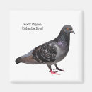 Suche nach pigeon magnete Taube
