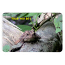 Suche nach kröten magnete Spaß