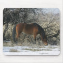 Suche nach wilder mustang mousepads Reiter