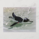 Suche nach glücklicher pinguin postkarten Tierisch