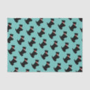 Suche nach scottish terrier Schottenfaust