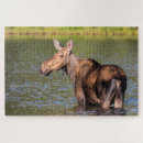 Suche nach glacier national park puzzle Montana