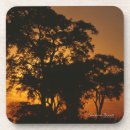 Suche nach african untersetzer Safari