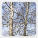 Suche nach rinder aufkleber Winter