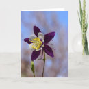 Suche nach columbine karten Natur